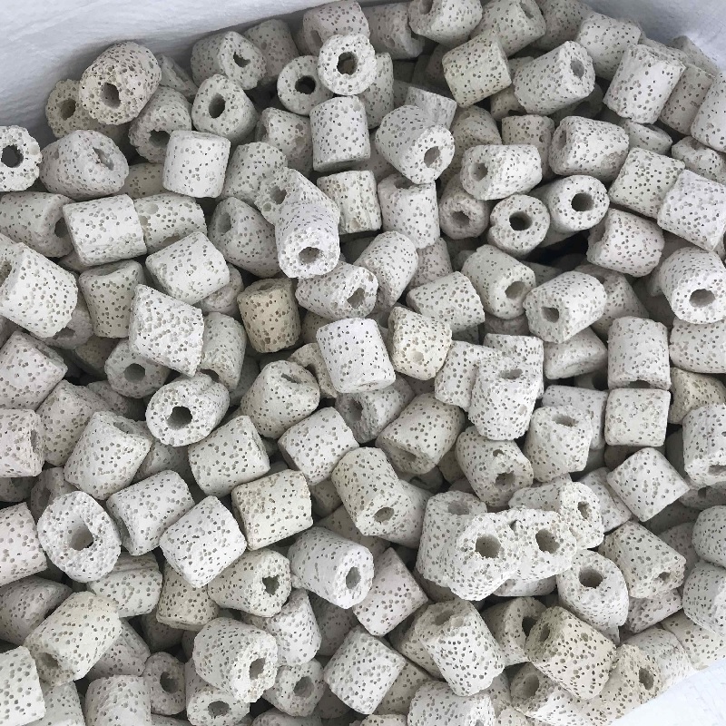1kg Sứ Nhẫn, Sứ Trụ Lỗ - Vật Liệu Lọc Bể Cá