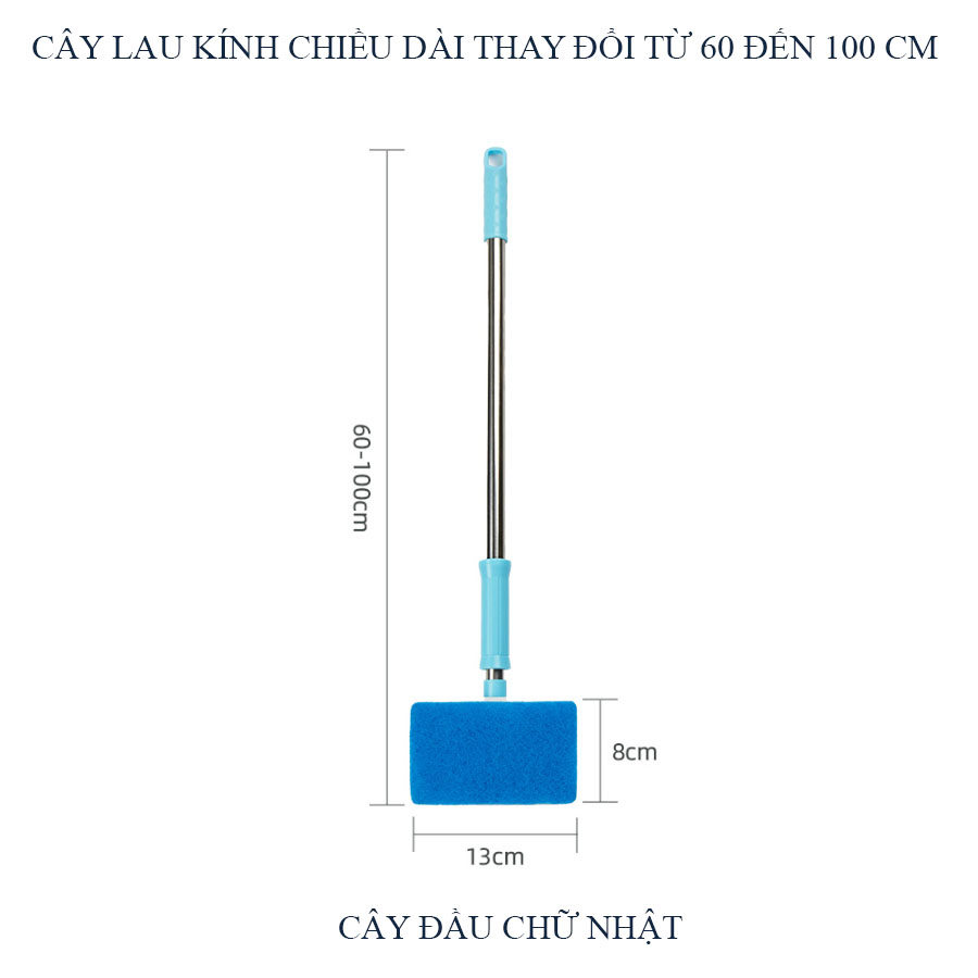 Cây lau kính hồ cá hồ thủy - vệ sinh chà bể hồ cá thủy sinh