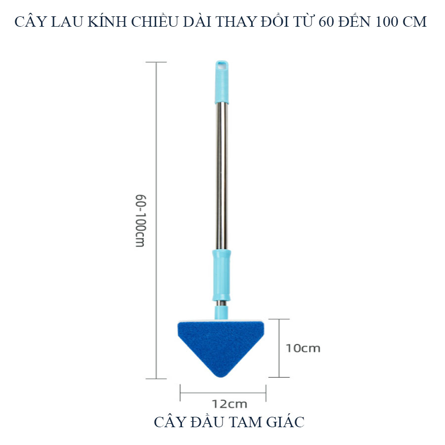 Cây lau kính hồ cá hồ thủy - vệ sinh chà bể hồ cá thủy sinh