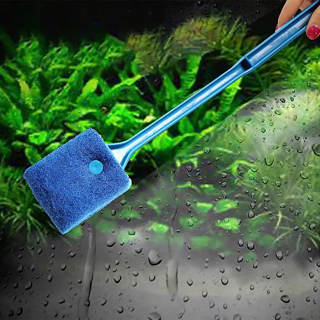 Cây lau vệ sinh chà cọ rêu bám kính bể hồ cá thủy sinh