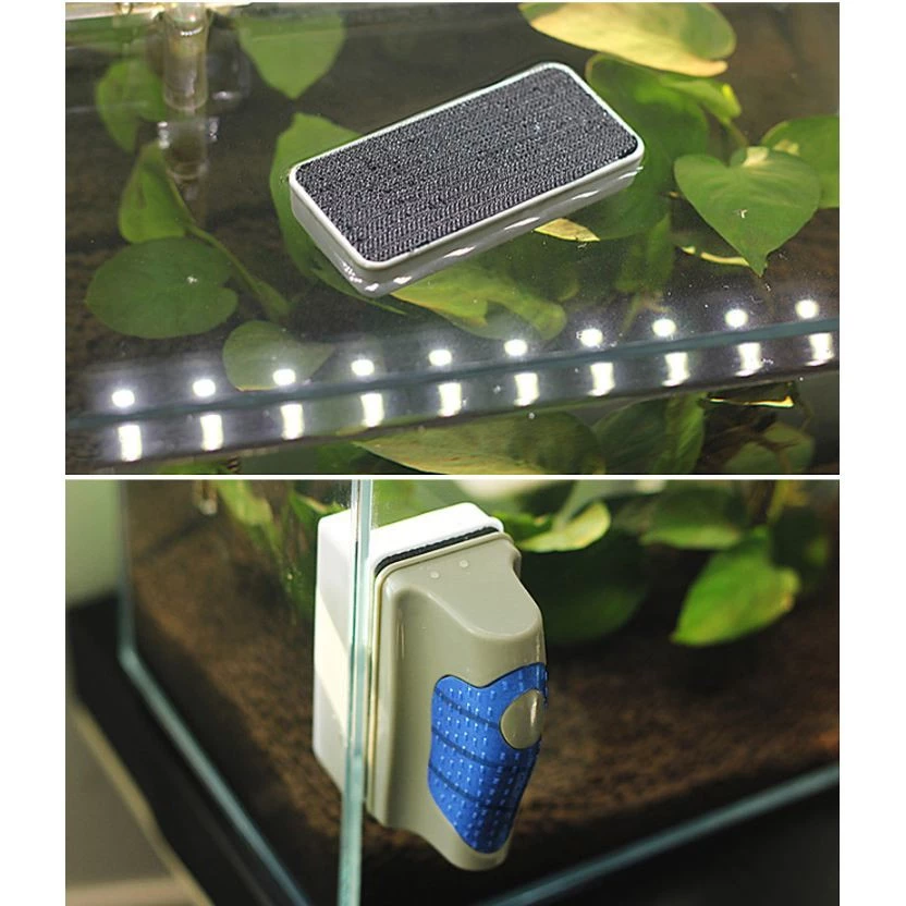 Cọ nam châm siêu dính cạo rêu bám kính bể cá