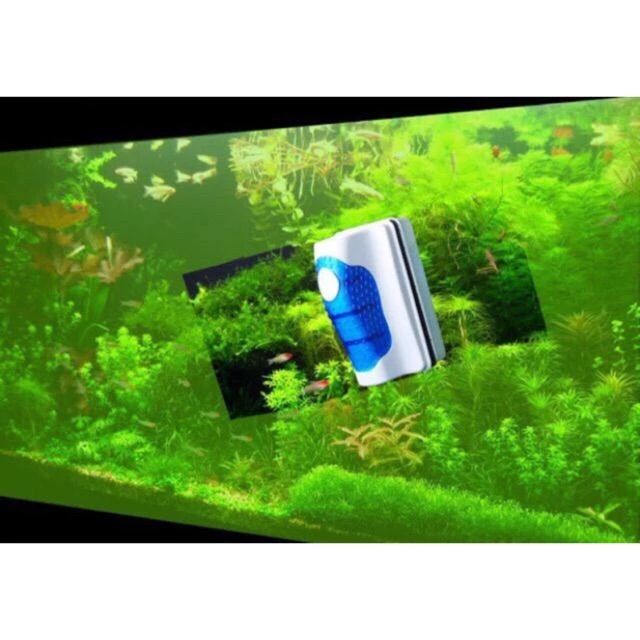 Cọ nam châm siêu dính cạo rêu bám kính bể cá