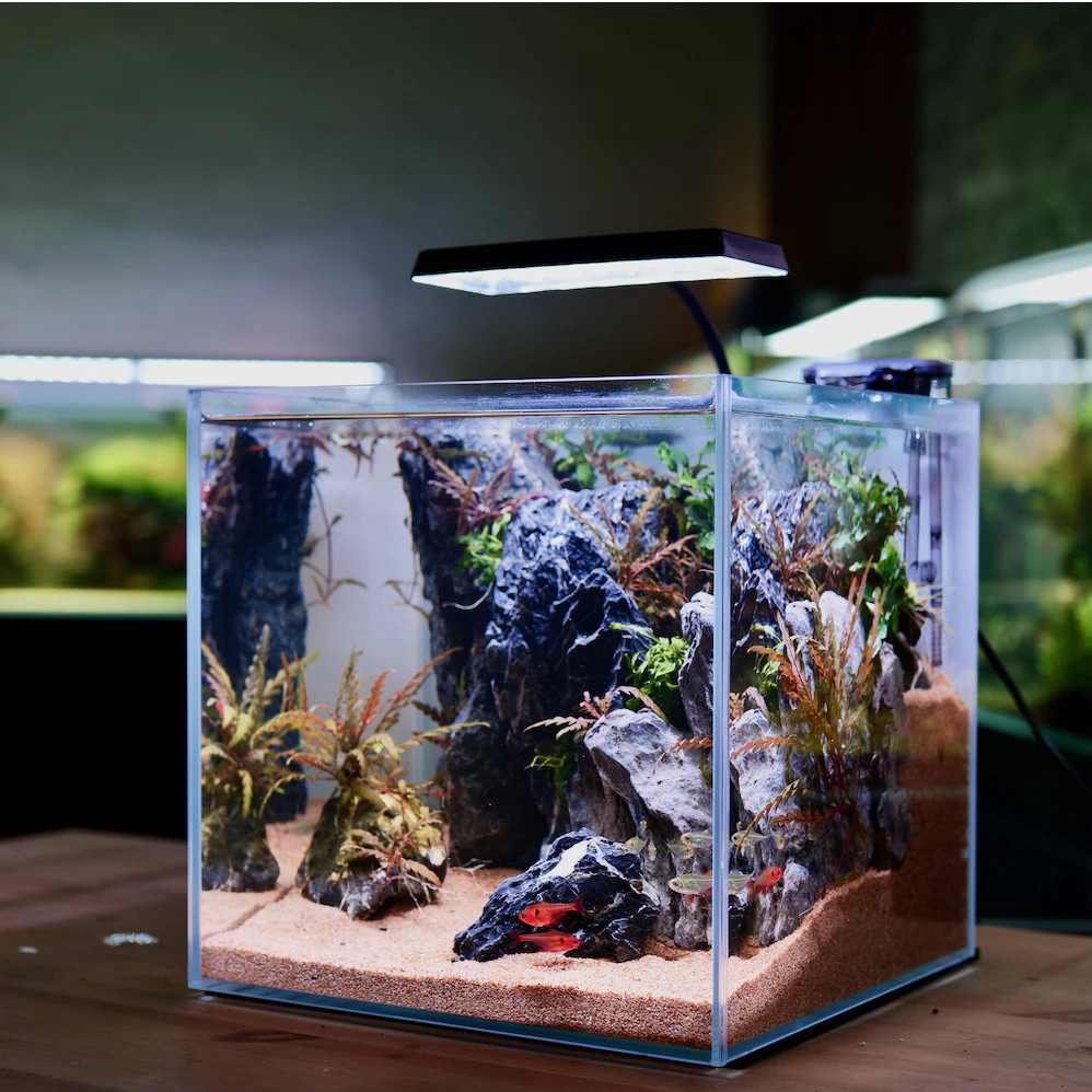 Đèn Led coco Helios Flat Nano X1 ,X1 Plus Đỏ Cá Không Đỏ Nước 8w -13w Cho Bể Cá Tép Cảnh Thủy Sinh