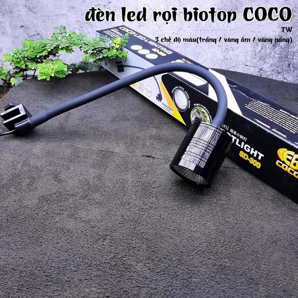 Đèn Led Rọi Coco Cho Bể Cá Cảnh Thủy Sinh, Biotop, Bán Cạn