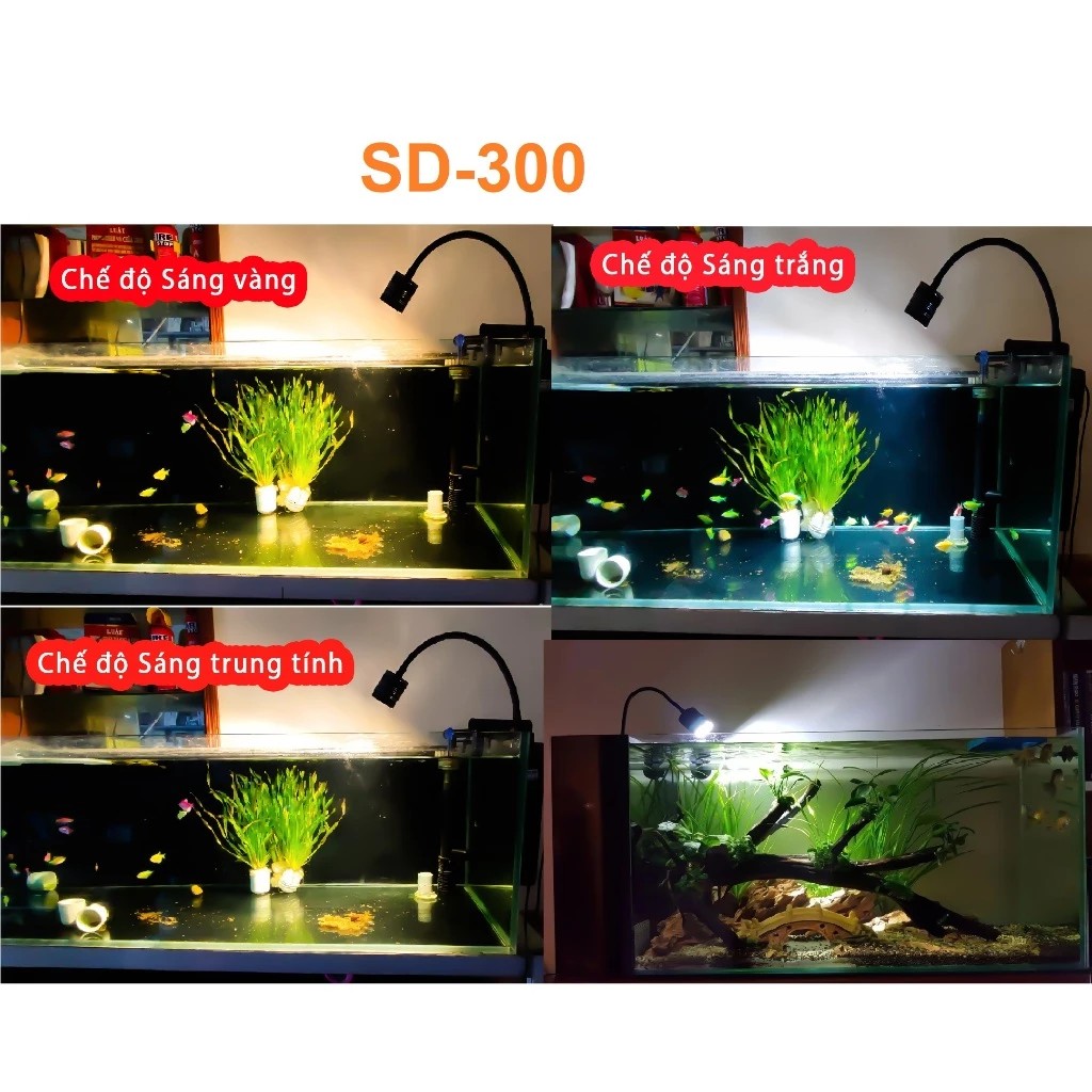 Đèn Led Rọi Coco Cho Bể Cá Cảnh Thủy Sinh, Biotop, Bán Cạn