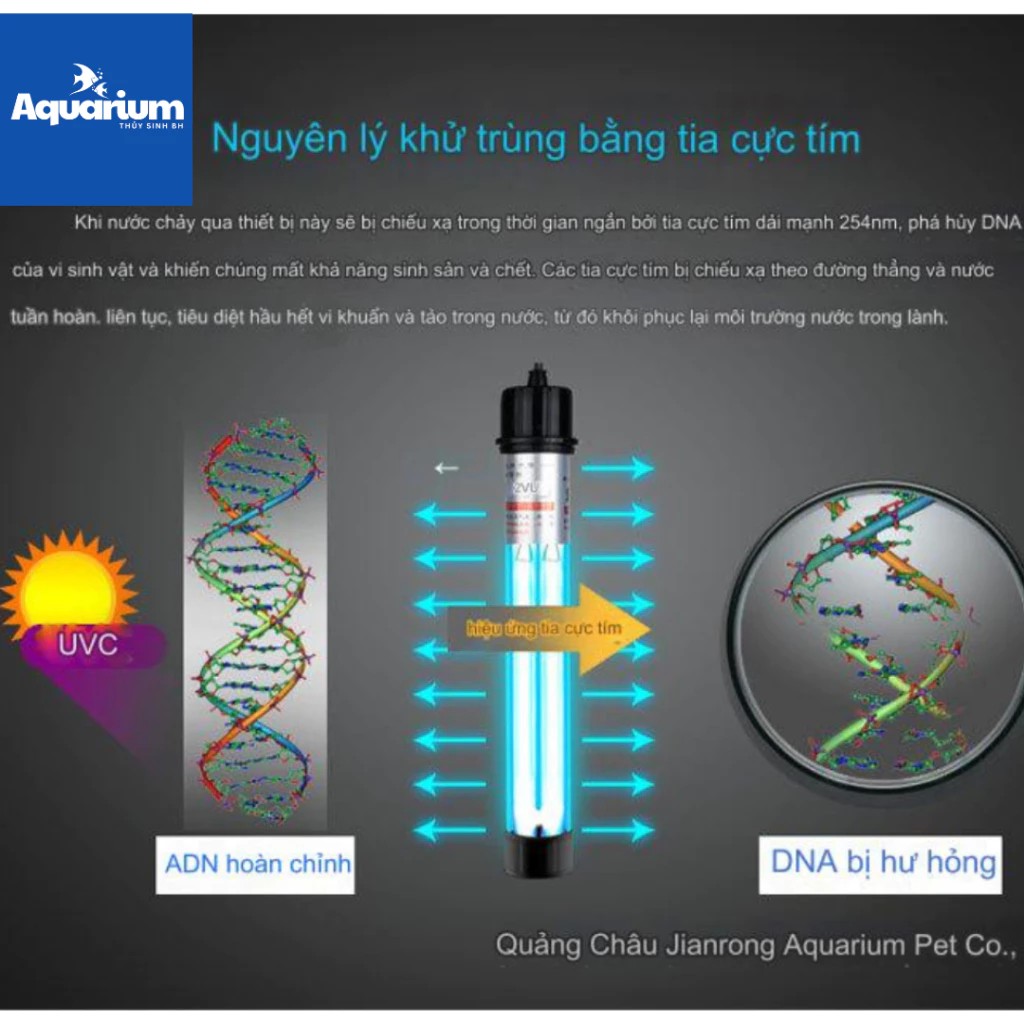 Đèn UV King Diệt Khuẩn Hồ Cá Koi, Thủy Sinh 20W, 30W, 40W, 60W, 100W – Xóa Tan Nước Xanh Rêu
