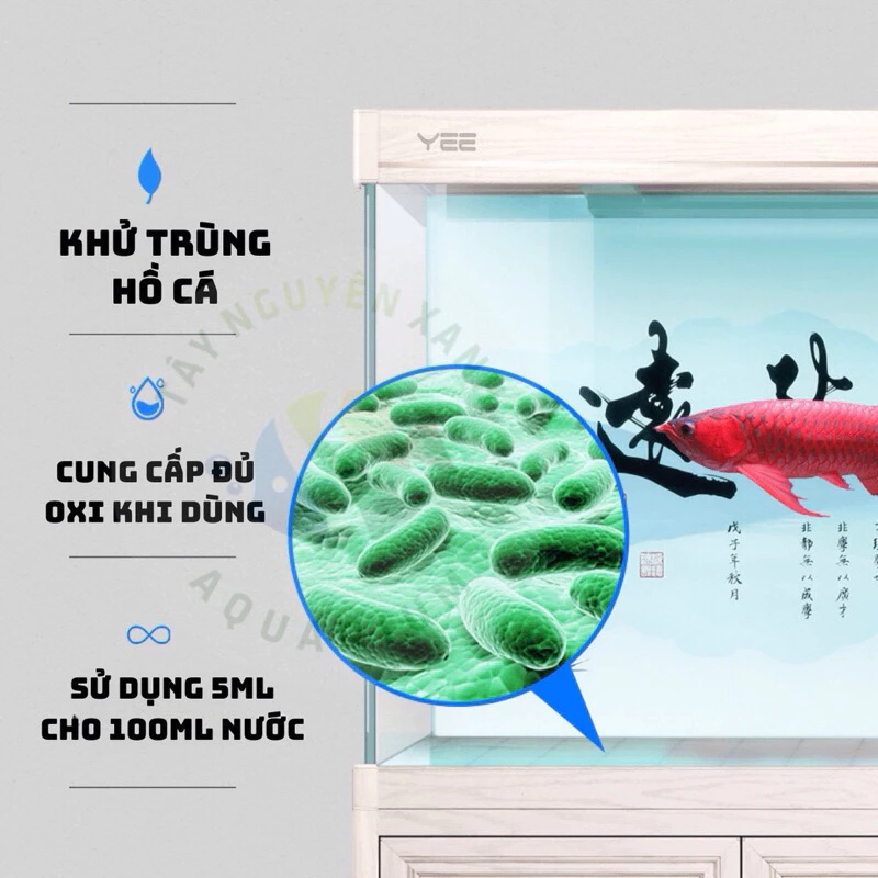 xanh methylen blue-trị các bệnh ngoài da,nấm trắng ký sinh trùng cho cá cảnh,tắm cá vào hồ